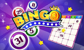 Bingo Not Blocked by GamStop Play Freely!