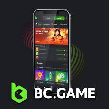 Guide to BC Game Registration from India Step by Step Guide to BC Game Registration from India Step by Step