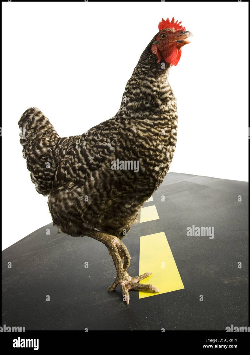 De Grootste Gokkast van Nederland: Chicken Road in een Nieuw Jasje in Netherlands
